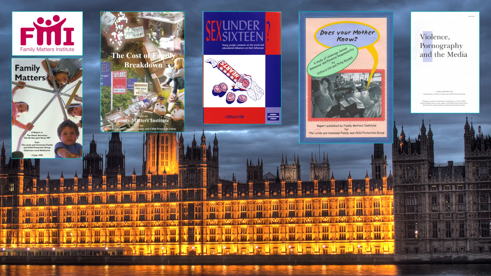 Parliamentary projects collage