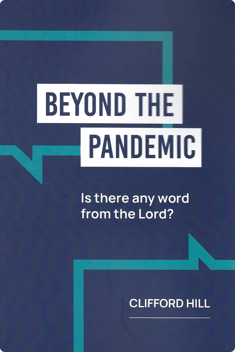 Book cover for Beyond The Pandemic 
