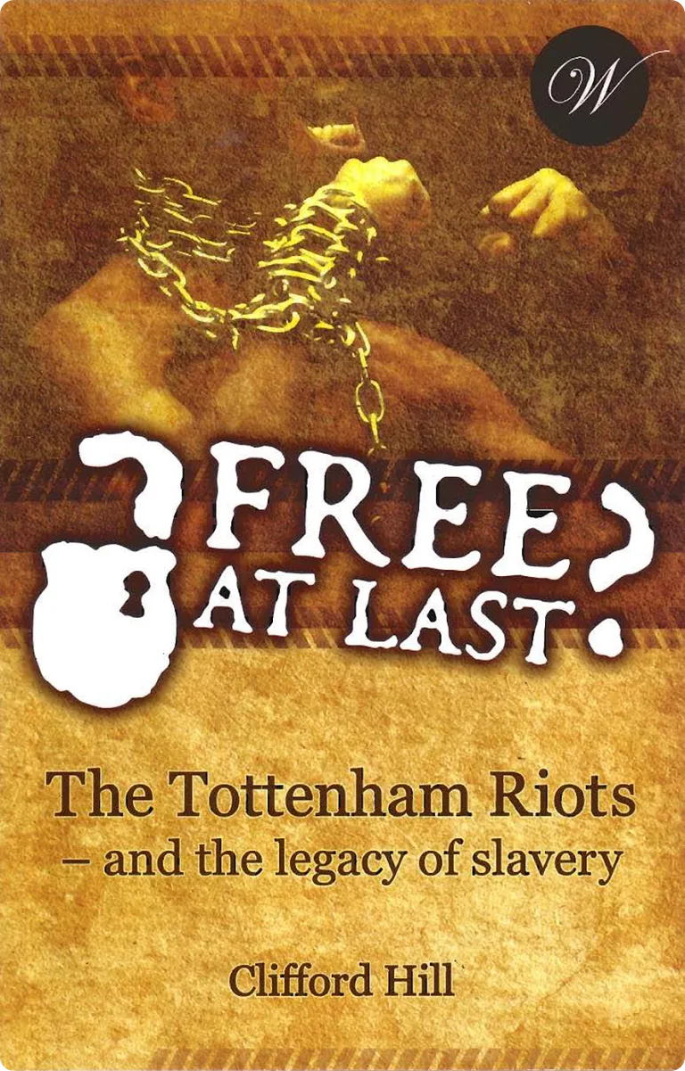 Book cover for Free at Last?